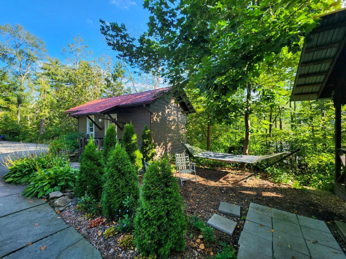 Belleayre Lodge Pine Hill Esterno foto